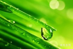 白露是什么意思呀？带你读懂这个节气的含义