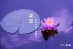 夏至为何要吃面？探索这一古老习俗的深层意义