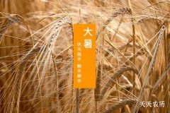 大暑的饮食养生怎么安排？消暑进补两不耽误
