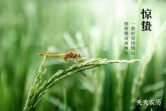 惊蛰无声 没有雷声的节气照样醒
